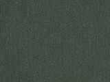 Sunbrella Cast Ivy (48141-0000)
